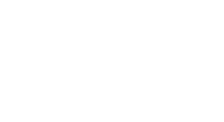 Viking logo white transparent with no tagline.